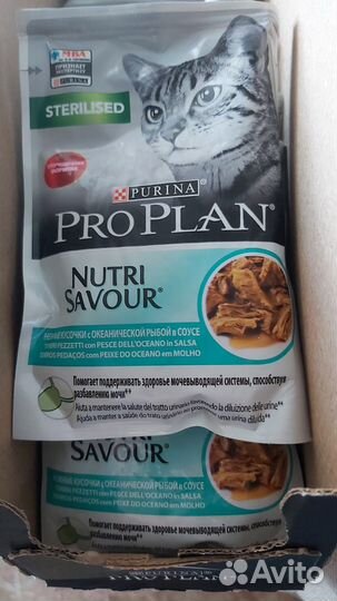 Корм для кошек