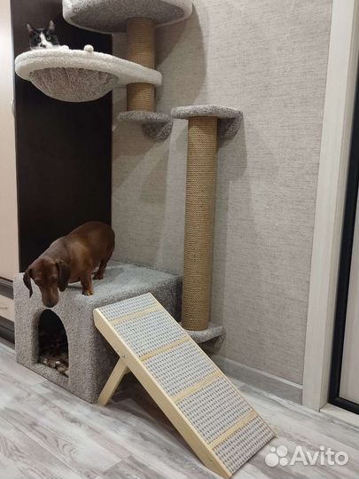 Пандус-лесенка для животных