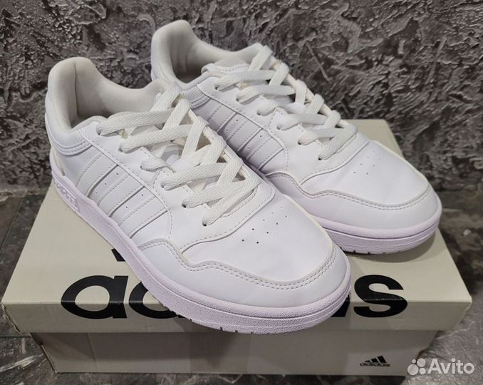 Кроссовки Adidas hoops 3.0 low classic