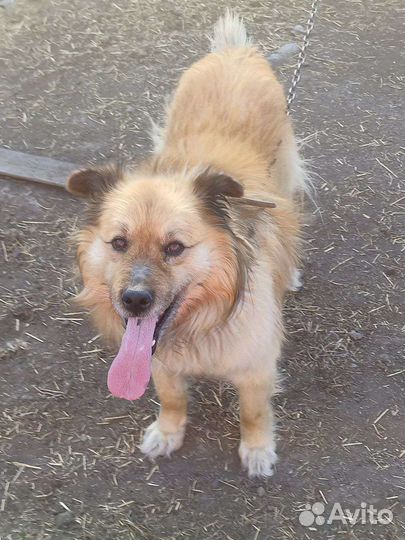 Малышу необходим дом