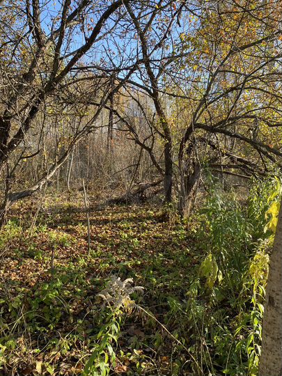 Участок 7 сот. (СНТ, ДНП)