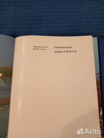 Книга о природе с иллюстрациями 