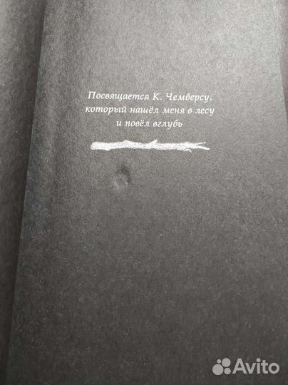 Страшные истории для маленьких лисят