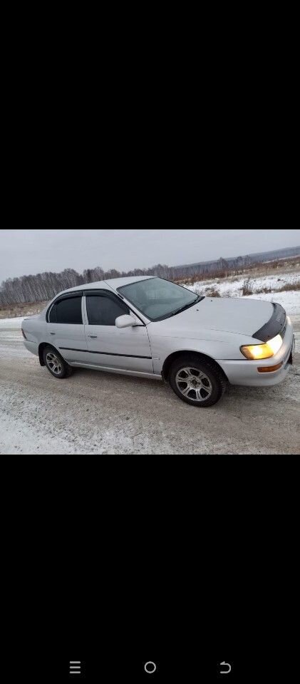 Toyota Corolla: фото владельца