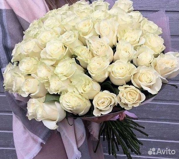 Высокие розы Гигантские розы с доставкой