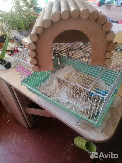 Прожам домик для хомяка