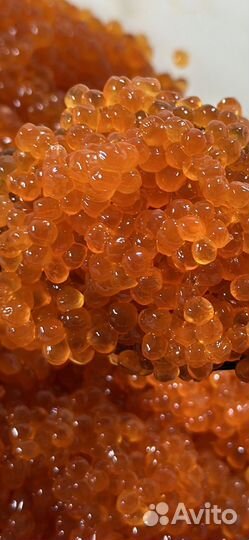 Икра горбуши Камчатская