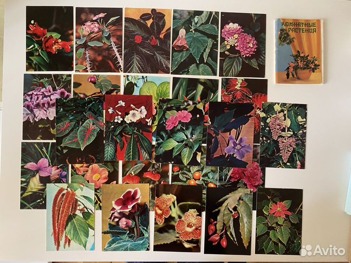 Открытки СССР (50-60 годы) наборы и поштучно