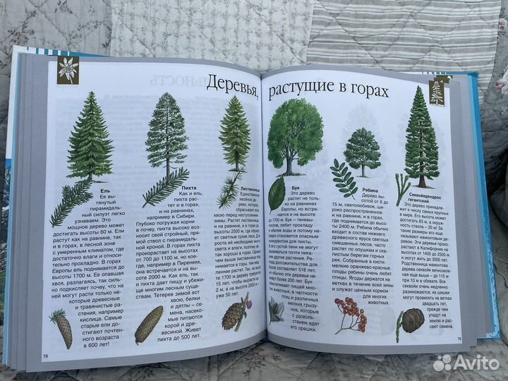 Книга о горах