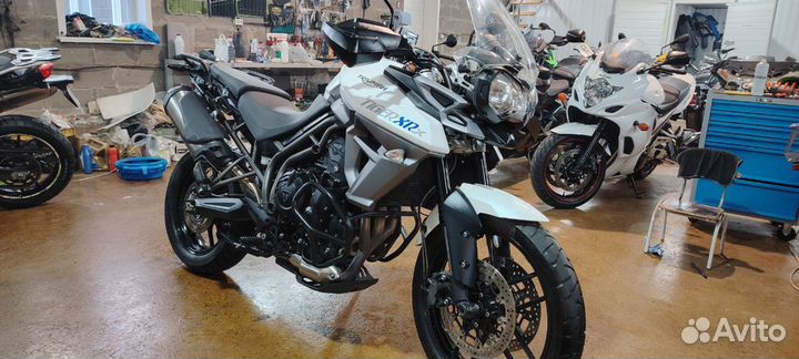 Triumph tiger 800 xrx без пробега по РФ