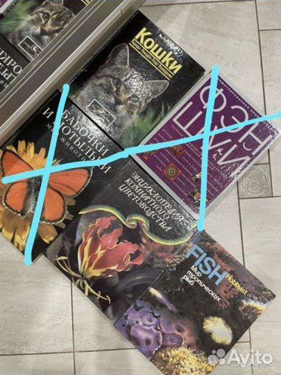 Энциклопедия кошек цветов тропических рыб