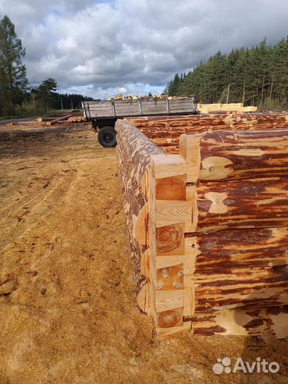 Срубы из бревна