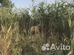 Пончо маскировочные, накидка для охоты