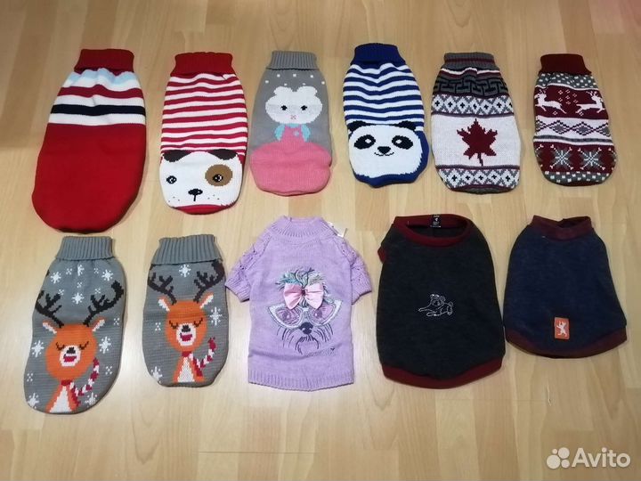 Одежда для собак