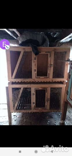 Клетки для кроликов