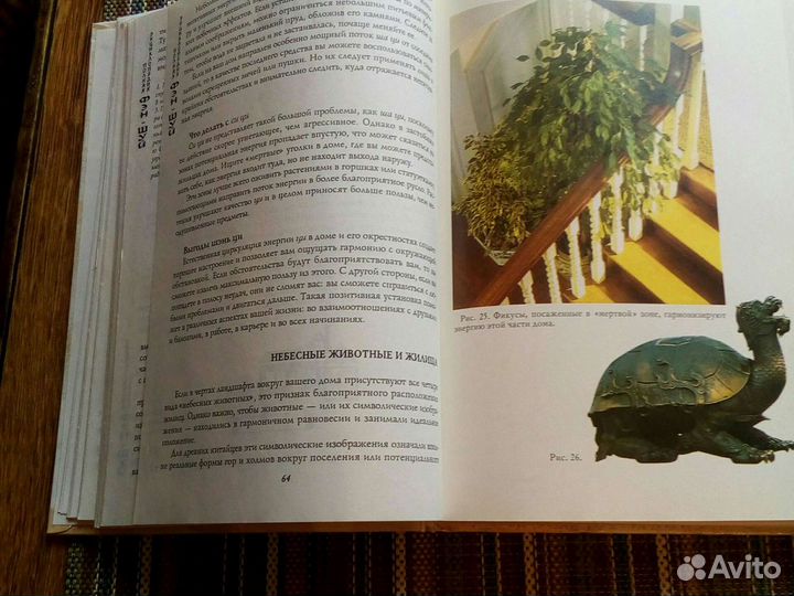 Энциклопедия фэн-шуй