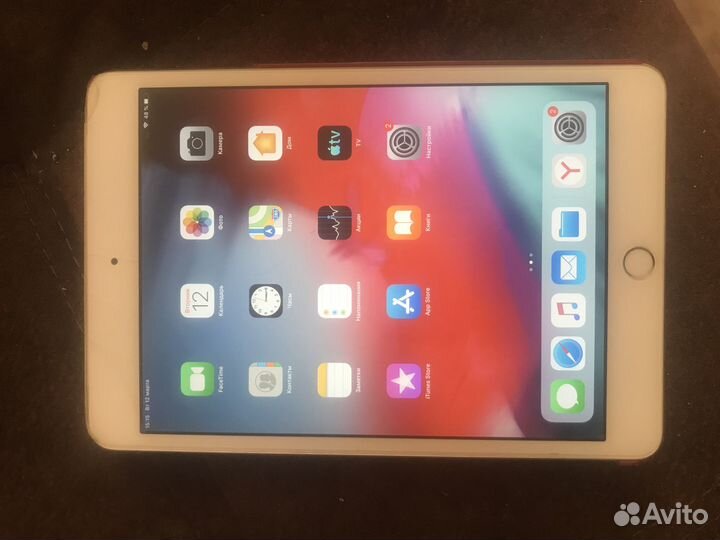 iPad mini 4 cellular