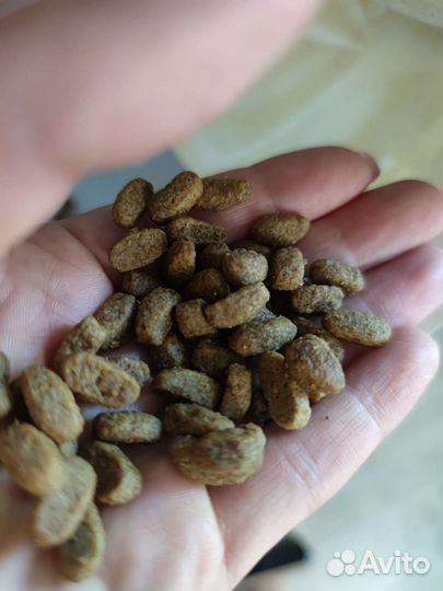 Корм для собак Purina Pro plan Пурина про план