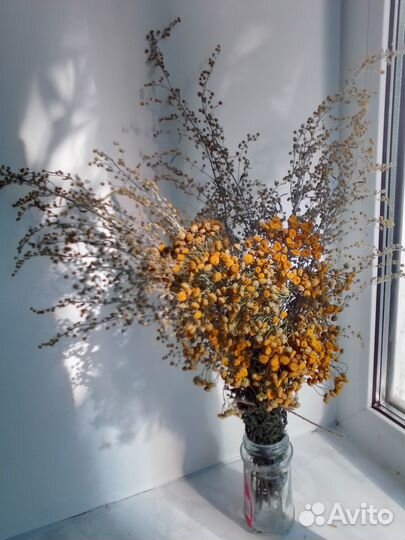 Букетики сухоцветы