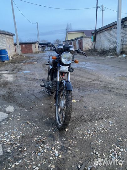 Альфа бандит 110
