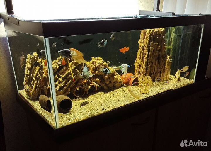 Аквариум на 200 литров