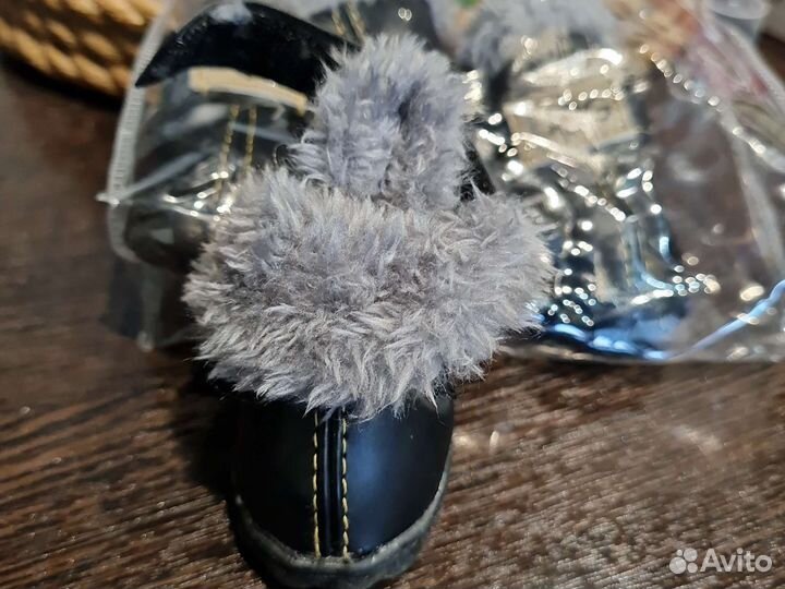 Обувь для маленьких собак