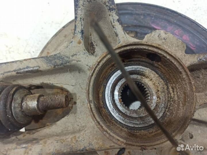 Кулак задний левый