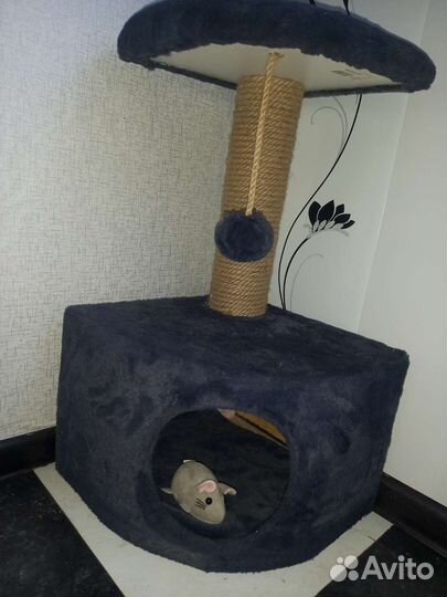 Домик для кошки с когтеточкой бу