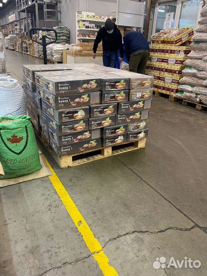 Фисташки номер 1