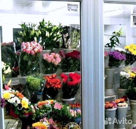 Цветочная холодильная камера