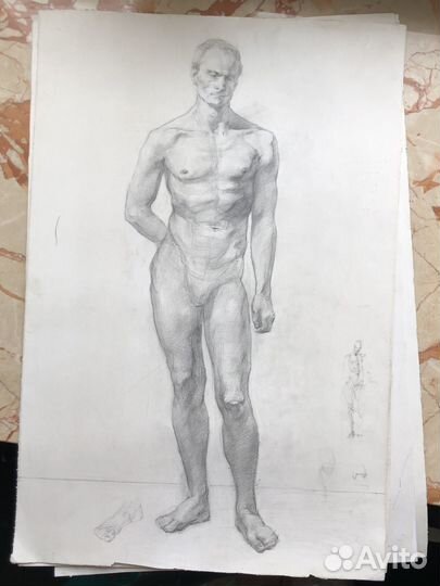 Портфолио, академический рисунок, фигура 40*60