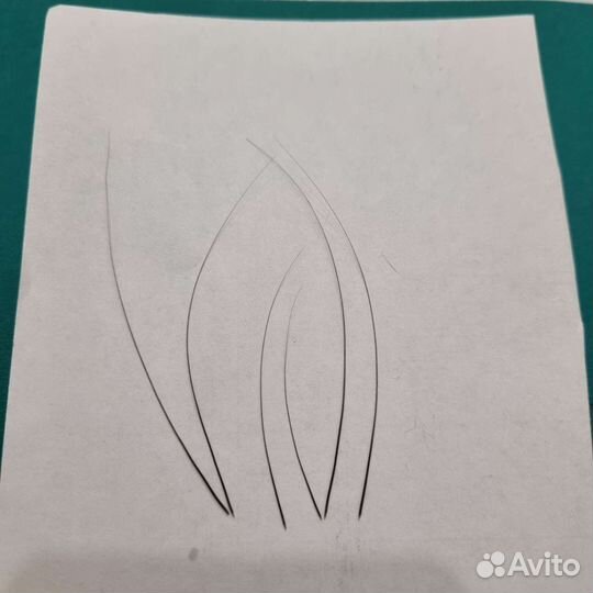 Вибриссы (кошачий ус)