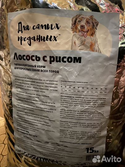 Собачий корм