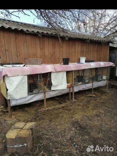 Клетка для кроликов