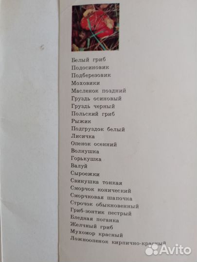 Наборы открыток СССР. Грибы