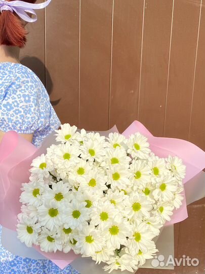 Огромный букет ромашек