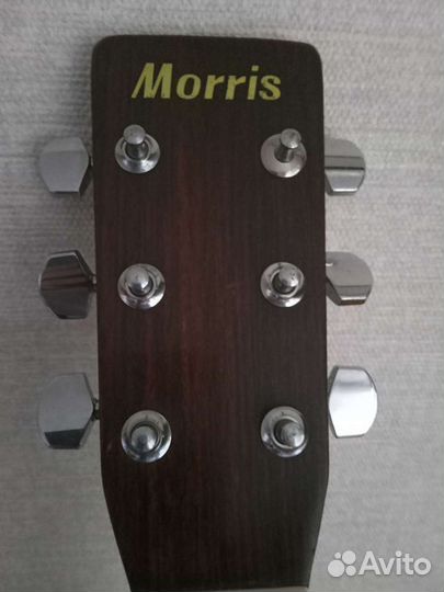 Акустическая гитара Morris W 20