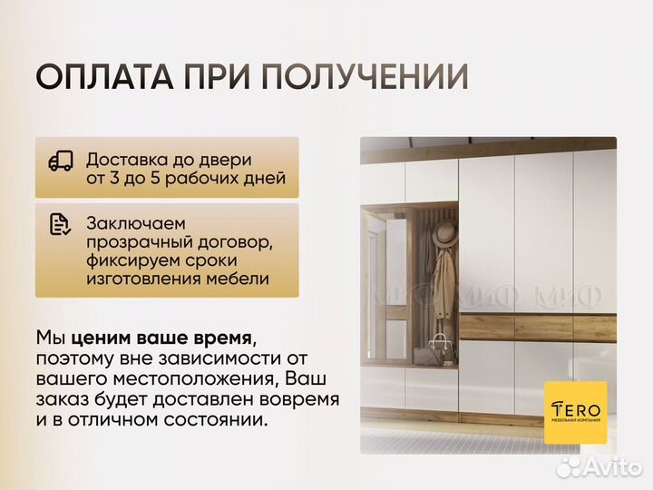 Шкаф-купе Тринити-3 оплата при получении