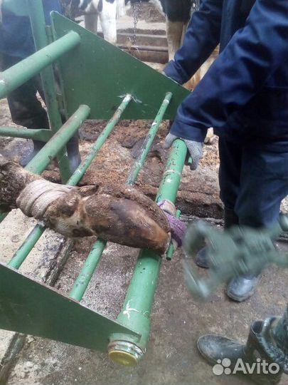 Станок для обработки копыт крс