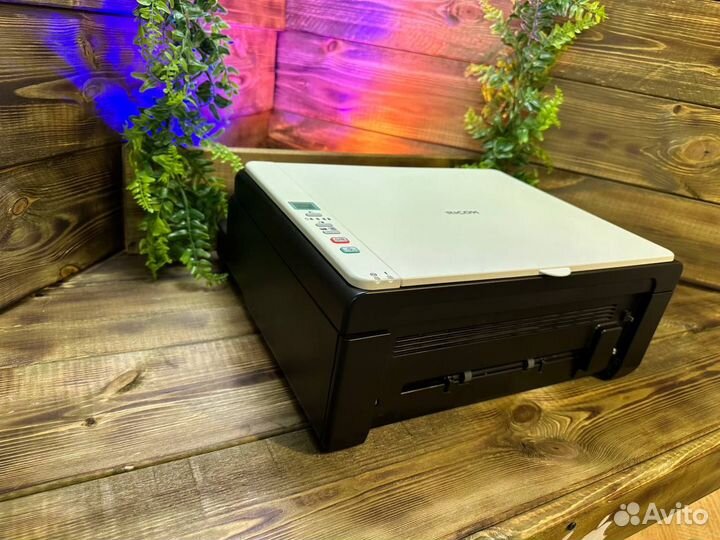 Мфу Ricoh sp100su