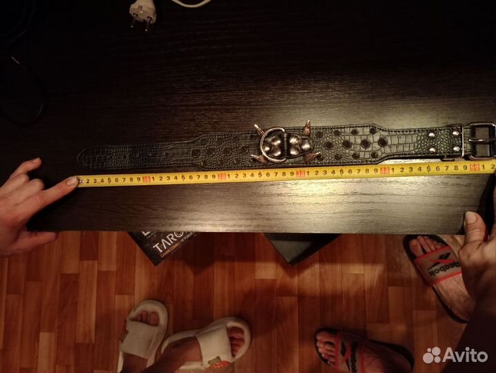 Строгий ошейник для собак