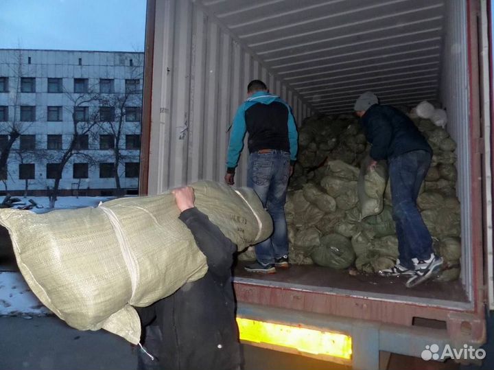 Грузчики / разнорабочие