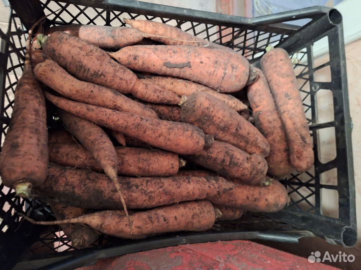 Продукты питания