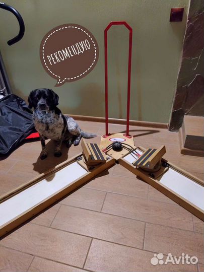 Хоккейный тренажёр Maxim hockey