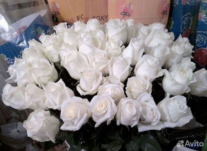 Высокие розы, букеты, цветы Доставка Доставка