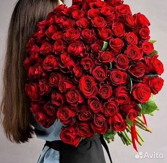 101 роза цветы букеты доставка 25 51 101 роза