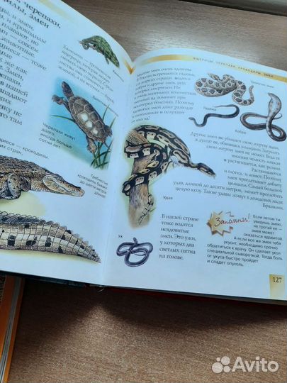 Детская энциклопедия