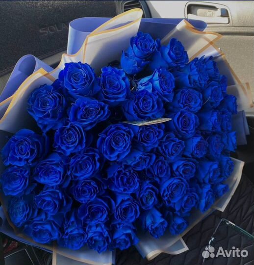 Синие розы