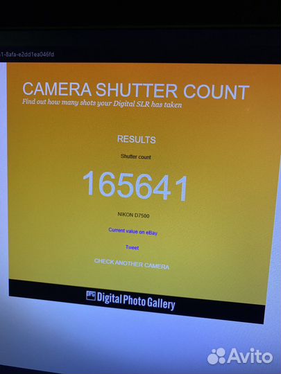 Nikon d7500 + sigma art 35 mm 1.4 + вспышка nikon