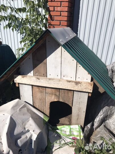 Собачья будка